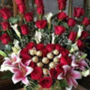 Meet your Posher, Lisie